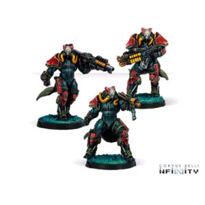 Rodoks, Armed Imposition Detachment